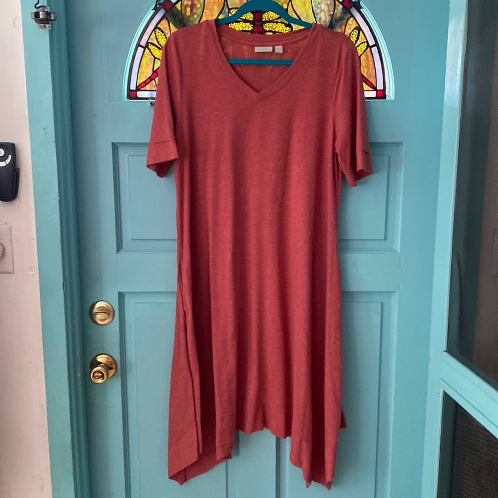 BLOW OUT SALE!Logo Lounge dress by Lori Goldstein. V neck & shirt sleeve.